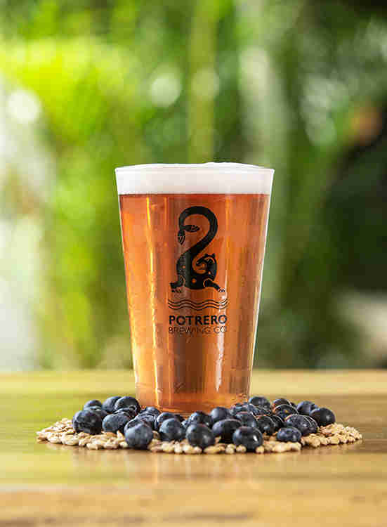 Craft Beer Costa Rica