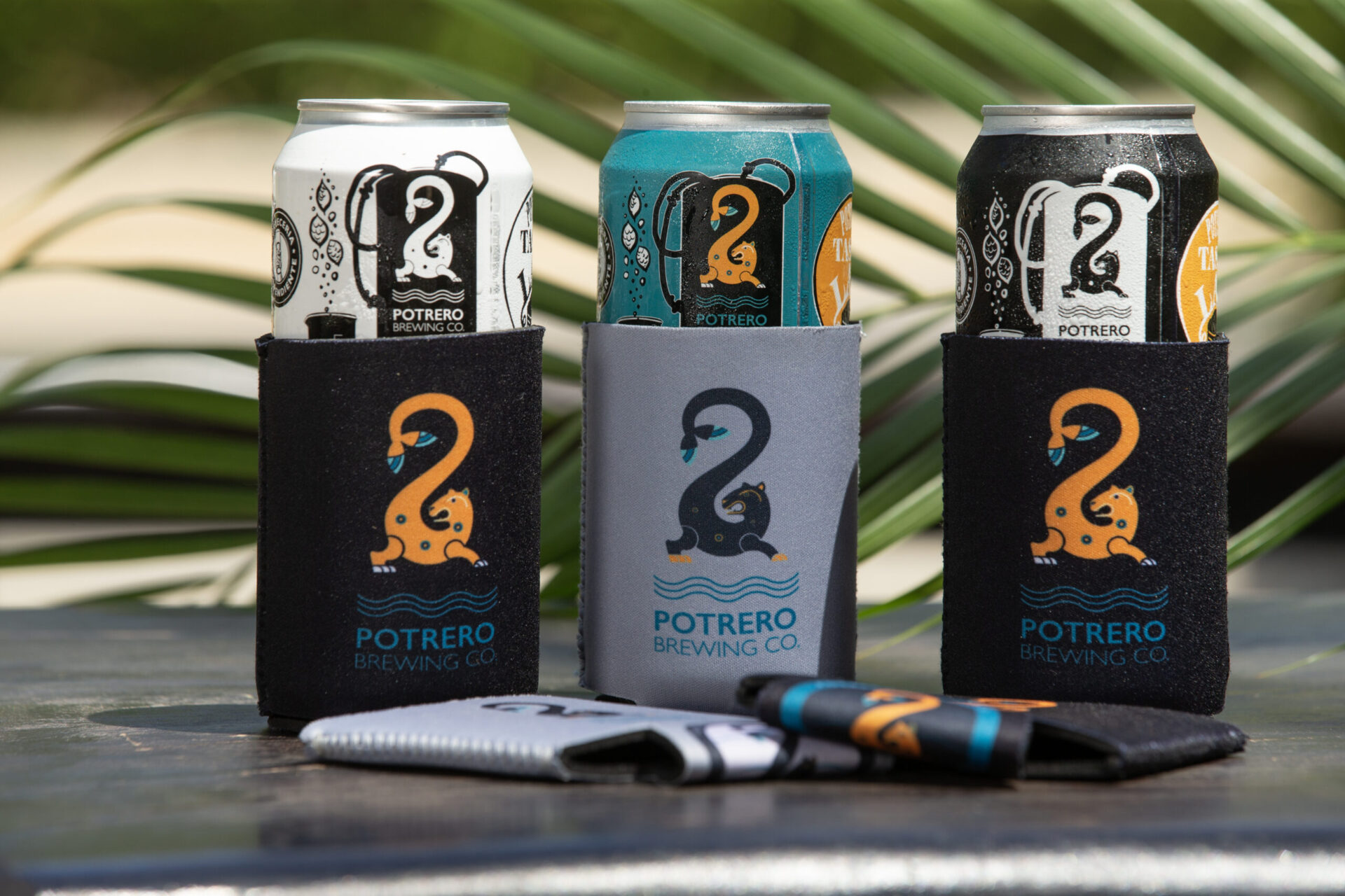 Costa Rica Craft Brewery